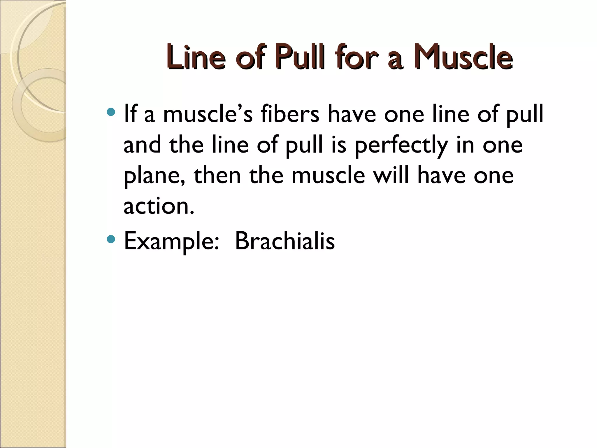 Line of Pull for a Muscle If a muscle’s fibers have one line of pull and the line of pull is perfectly in one plane, then the muscle will have one action. Example:  Brachialis  
