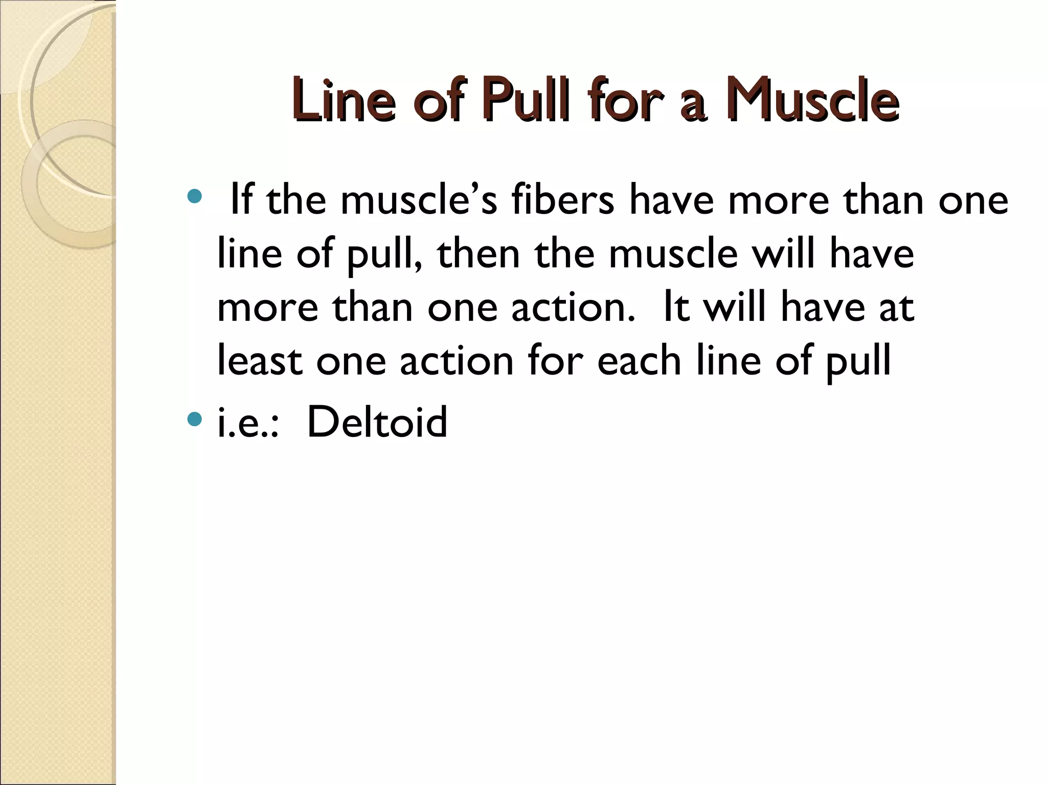 Line of Pull for a Muscle If the muscle’s fibers have more than one line of pull, then the muscle will have more than one action.  It will have at least one action for each line of pull i.e.:  Deltoid 