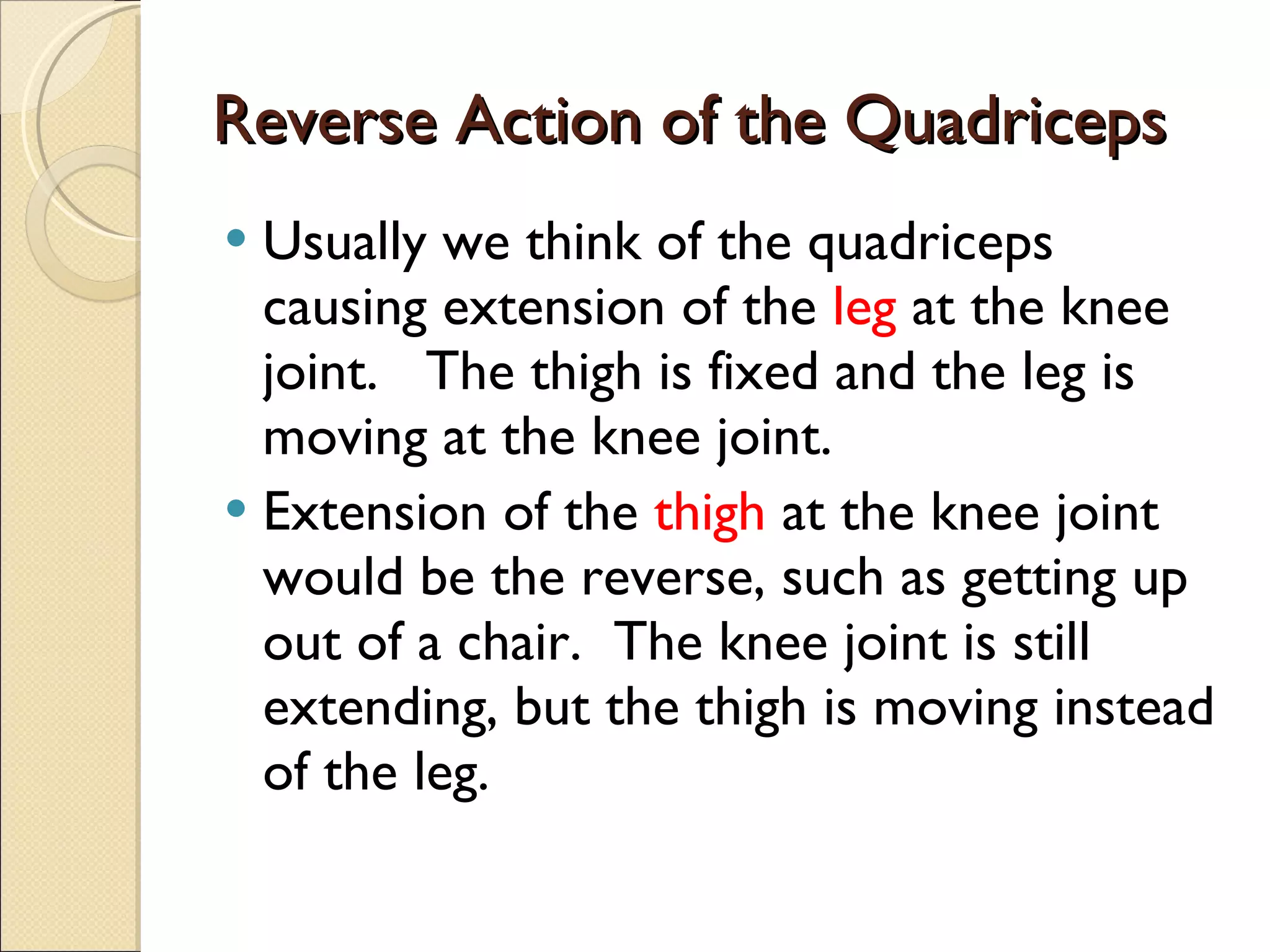 Reverse Action of the Quadriceps Usually we think of the quadriceps causing extension of the  leg  at the knee joint.  The thigh is fixed and the leg is moving at the knee joint. Extension of the  thigh  at the knee joint would be the reverse, such as getting up out of a chair.  The knee joint is still extending, but the thigh is moving instead of the leg. 