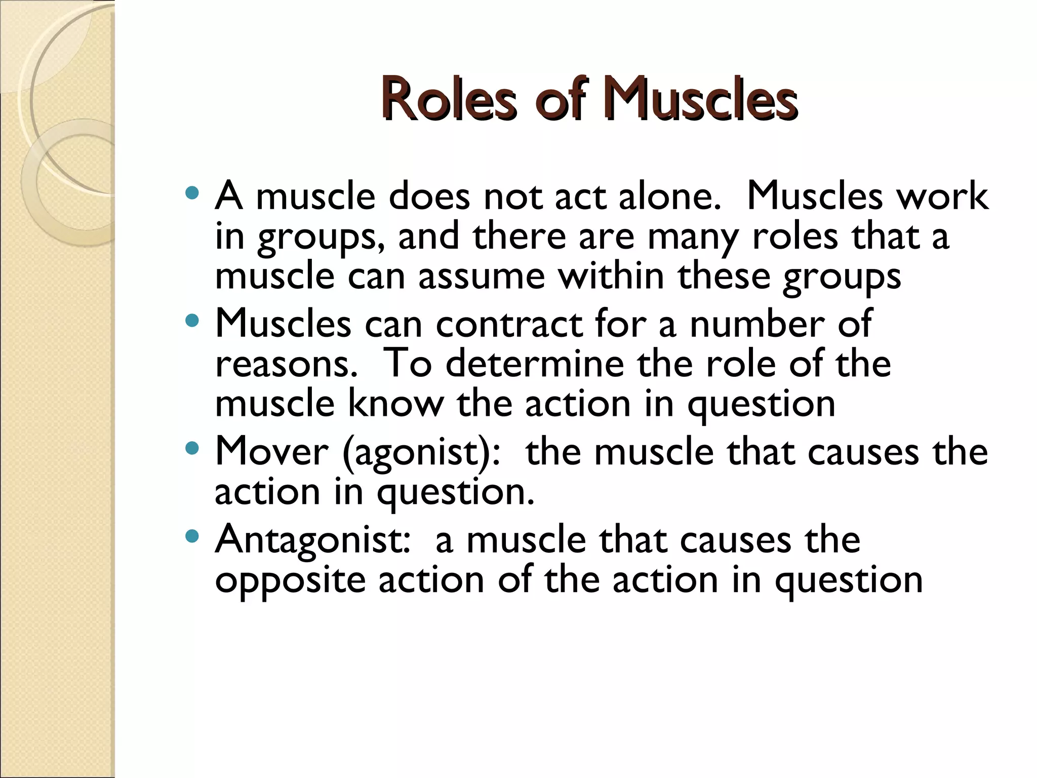 Roles of Muscles A muscle does not act alone.  Muscles work in groups, and there are many roles that a muscle can assume within these groups Muscles can contract for a number of reasons.  To determine the role of the muscle know the action in question Mover (agonist):  the muscle that causes the action in question. Antagonist:  a muscle that causes the opposite action of the action in question 