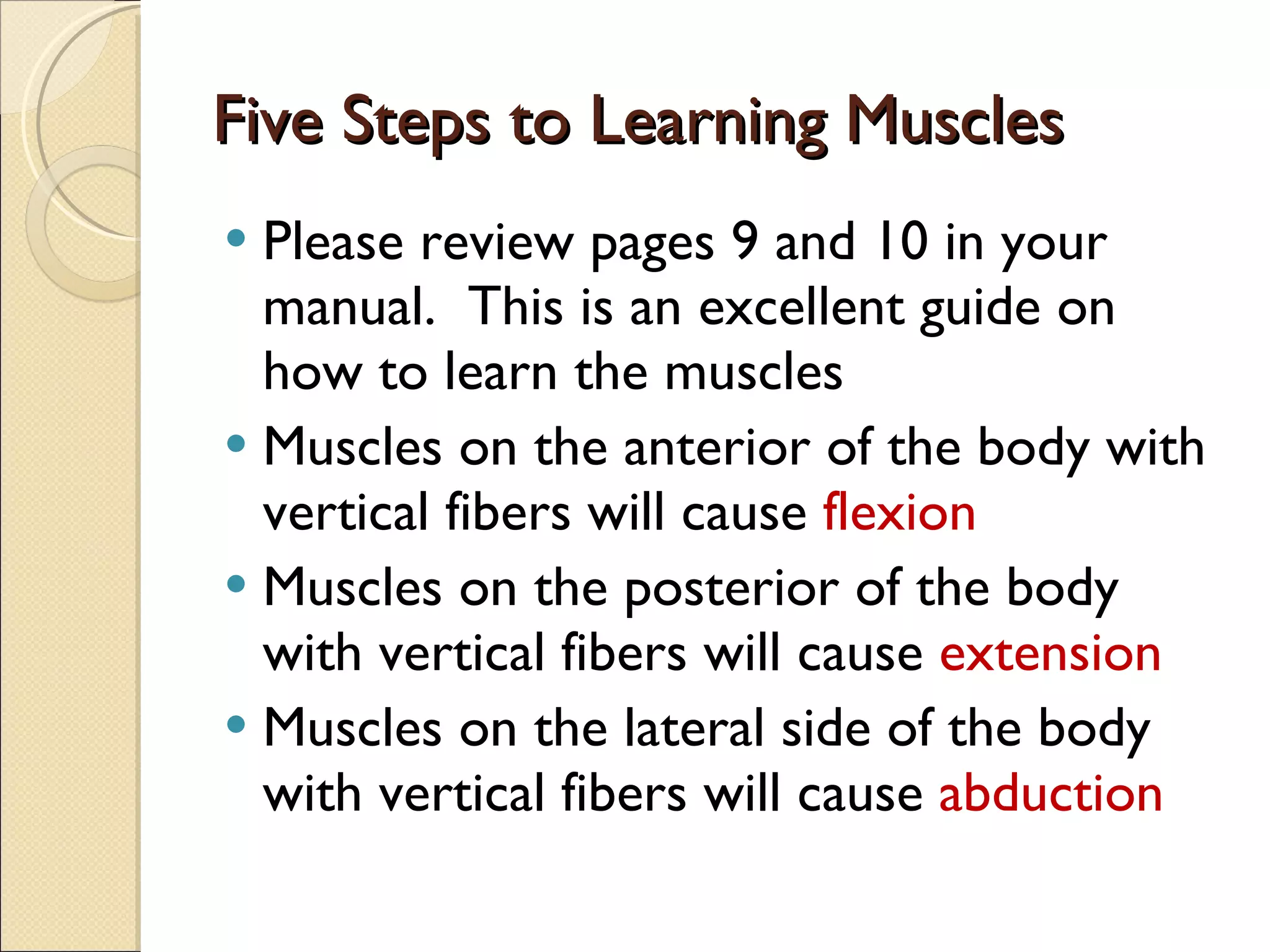Five Steps to Learning Muscles Please review pages 9 and 10 in your manual.  This is an excellent guide on how to learn the muscles Muscles on the anterior of the body with vertical fibers will cause  flexion Muscles on the posterior of the body with vertical fibers will cause  extension Muscles on the lateral side of the body with vertical fibers will cause  abduction 