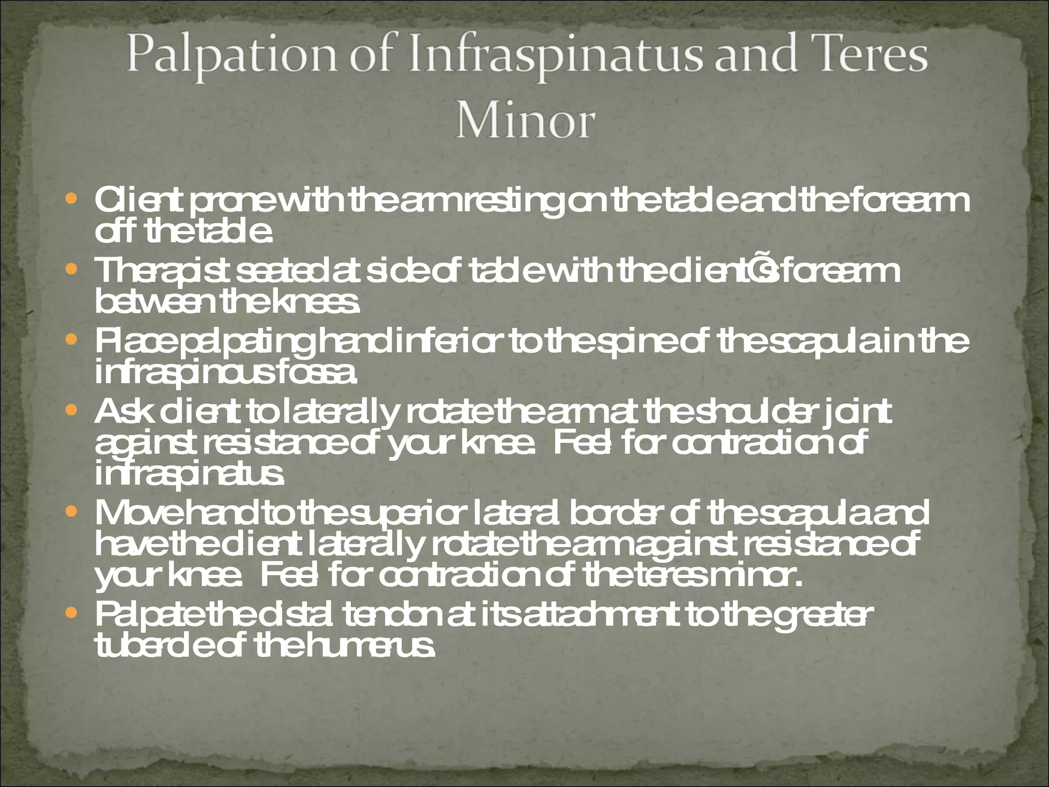 Client prone with the arm resting on the table and the forearm off the table. Therapist seated at side of table with the client’s forearm between the knees.  Place palpating hand inferior to the spine of the scapula in the infraspinous fossa.  Ask client to laterally rotate the arm at the shoulder joint against resistance of your knee.  Feel for contraction of infraspinatus. Move hand to the superior lateral border of the scapula and have the client laterally rotate the arm against resistance of your knee.  Feel for contraction of the teres minor. Palpate the distal tendon at its attachment to the greater tubercle of the humerus. 