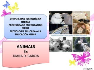 ANIMALS
BY:
DIANA D. GARCIA
UNIVERSIDAD TECNOLÓGICA
OTEIMA
PROFESORADO EN EDUCACIÓN
MEDIA
TECNOLOGÍA APLICADA A LA
EDUCACIÓN MEDIA
 