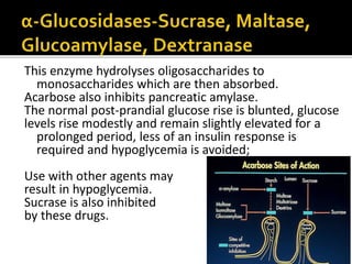 This enzyme hydrolyses oligosaccharides to
monosaccharides which are then absorbed.
Acarbose also inhibits pancreatic amylase.
The normal post-prandial glucose rise is blunted, glucose
levels rise modestly and remain slightly elevated for a
prolonged period, less of an insulin response is
required and hypoglycemia is avoided;
Use with other agents may
result in hypoglycemia.
Sucrase is also inhibited
by these drugs.
 