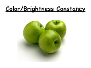 Color/Brightness Constancy
 
