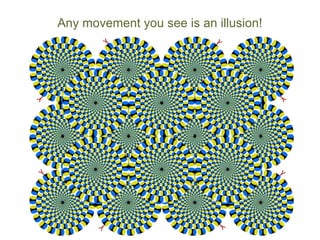 Any movement you see is an illusion!
 