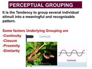 It is the Tendency to group several individual
stimuli into a meaningful and recognizable
pattern.
Some factors Underlying Grouping are
-Continuity
-Closure
-Proximity
-Similarity
PERCEPTUAL GROUPING
 