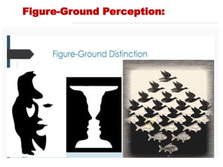 Figure-Ground Perception:
 