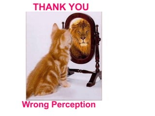 THANK YOU
80
Wrong Perception
 