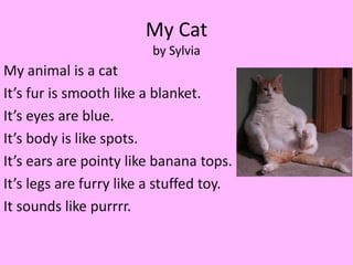 My Cat
                         by Sylvia
My animal is a cat
It’s fur is smooth like a blanket.
It’s eyes are blue.
It’s body is like spots.
It’s ears are pointy like banana tops.
It’s legs are furry like a stuffed toy.
It sounds like purrrr.
 