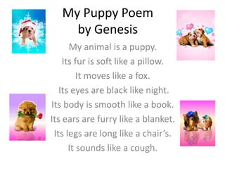 My Puppy Poem
     by Genesis
      My animal is a puppy.
    Its fur is soft like a pillow.
         It moves like a fox.
   Its eyes are black like night.
Its body is smooth like a book.
Its ears are furry like a blanket.
 Its legs are long like a chair’s.
      It sounds like a cough.
 