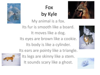 Fox
             by Kyle
           My animal is a fox.
   Its fur is smooth like a board.
           It moves like a dog.
 Its eyes are brown like a cookie.
       Its body is like a cylinder.
Its ears are pointy like a triangle.
   Its legs are skinny like a stem.
     It sounds scary like a ghost.
 