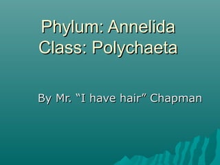 Phylum: AnnelidaPhylum: Annelida
Class: PolychaetaClass: Polychaeta
By Mr. “I have hair” ChapmanBy Mr. “I have hair” Chapman
 