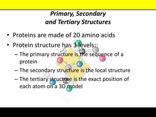 Class powerpoint.ppt
