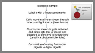 Flo Pro Analysis Lab flo cytometry technique for particle analysis | PPTX
