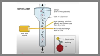 flo cytometry technique for particle analysis | PPTX