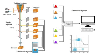 Flo Pro Analysis Lab flo cytometry technique for particle analysis | PPTX