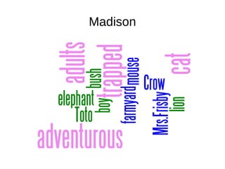 Madison 