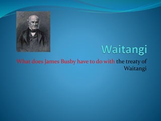 What does James Busby have to do with the treaty of
Waitangi
 