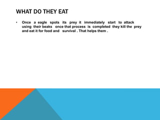 WHAT DO THEY EAT
•   Once a eagle spots its prey it immediately start to attack
    using their beaks once that process is completed they kill the prey
    and eat it for food and survival . That helps them .
 