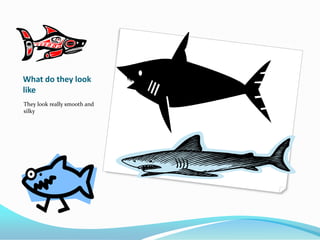 What do they look
like
They look really smooth and
silky
 