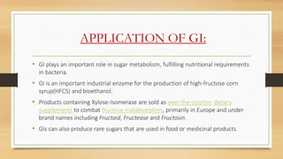 APPLICATION OF GI:
• GI plays an important role in sugar metabolism, fulfilling nutritional requirements
in bacteria.
• GI...