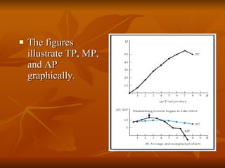 The figures illustrate TP, MP, and AP graphically. 