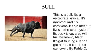 Describing animals final task 5th b | ODP