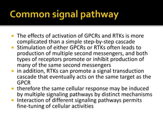  The effects of activation of GPCRs and RTKs is more
complicated than a simple step-by-step cascade
 Stimulation of either GPCRs or RTKs often leads to
production of multiple second messengers, and both
types of receptors promote or inhibit production of
many of the same second messengers
 in addition, RTKs can promote a signal transduction
cascade that eventually acts on the same target as the
GPCR
 therefore the same cellular response may be induced
by multiple signaling pathways by distinct mechanisms
 Interaction of different signaling pathways permits
fine-tuning of cellular activities
 