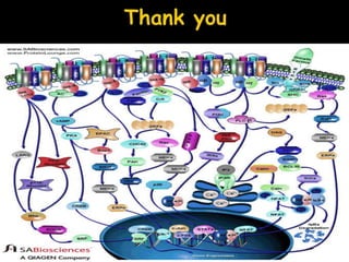 Class receptors  1&2
