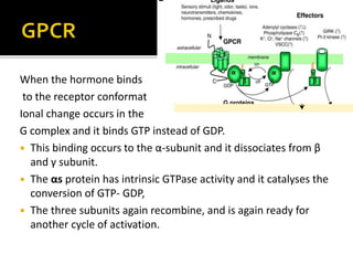 When the hormone binds
to the receptor conformat
Ional change occurs in the
G complex and it binds GTP instead of GDP.
 This binding occurs to the α-subunit and it dissociates from β
and γ subunit.
 The αs protein has intrinsic GTPase activity and it catalyses the
conversion of GTP- GDP,
 The three subunits again recombine, and is again ready for
another cycle of activation.
 