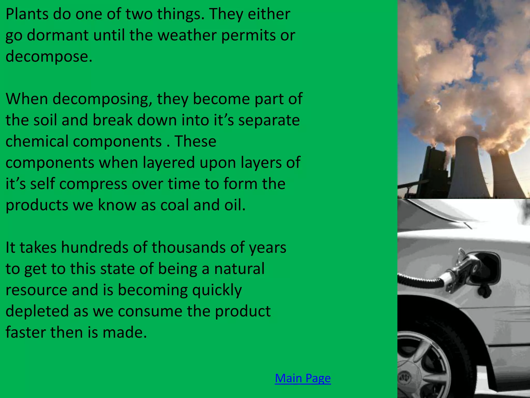 Plants do one of two things. They either
go dormant until the weather permits or
decompose.

When decomposing, they become part of
the soil and break down into it’s separate
chemical components . These
components when layered upon layers of
it’s self compress over time to form the
products we know as coal and oil.

It takes hundreds of thousands of years
to get to this state of being a natural
resource and is becoming quickly
depleted as we consume the product
faster then is made.

                                      Main Page
 