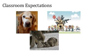 Classroom Expectations
 