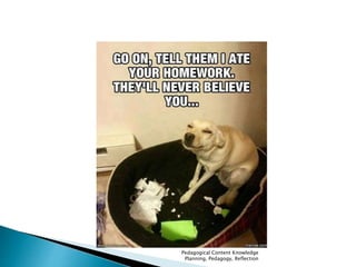 Pedagogical Content Knowledge 
Planning, Pedagogy, Reflection 
 