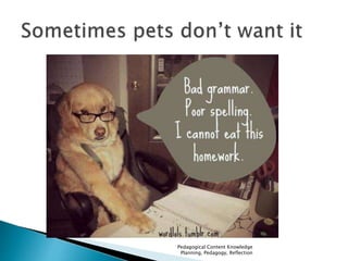 Pedagogical Content Knowledge 
Planning, Pedagogy, Reflection 
 