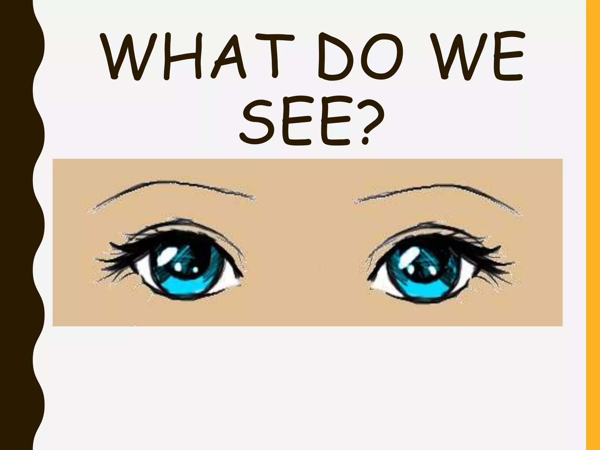 WHAT DO WE
SEE?