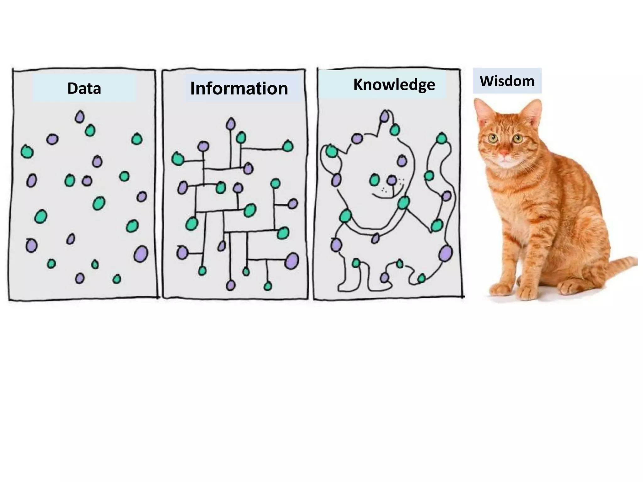 Data KnowledgeInformation Wisdom
 