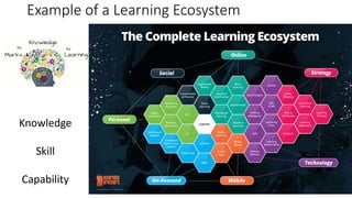 Example of a Learning Ecosystem
Knowledge
Skill
Capability
 