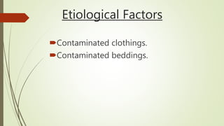 Etiological Factors
Contaminated clothings.
Contaminated beddings.
 