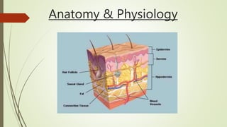 Anatomy & Physiology
 