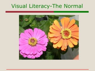Visual Literacy-The Normal 