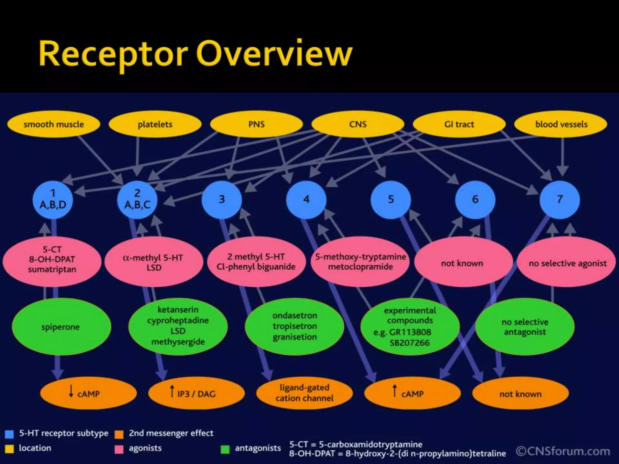  KETANSERIN -5-HT2A-on platelets antagonizes
aggregation
α-adrenergic blocking property effective
antihypertensive drug
- can be used in Raynaud’s disease
RITANSERIN-5-HT2A-antagonist
it reduces thromboxane formation and increases
bleeding time presumably by inhibiting platelet
aggregation