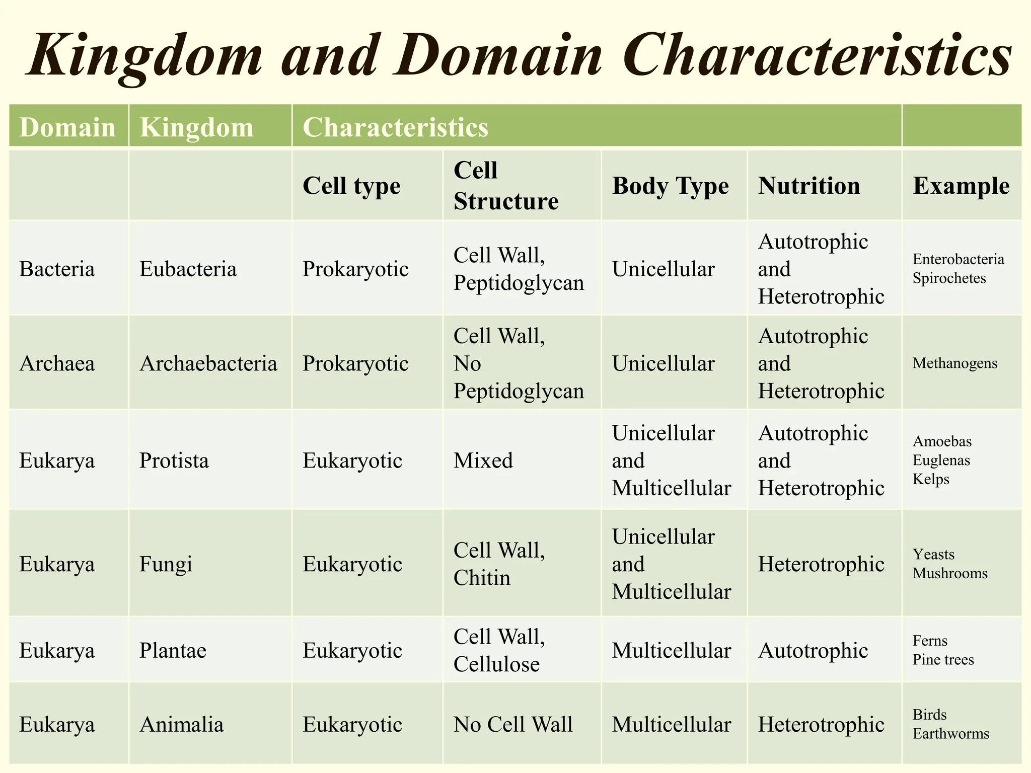 Kingdom and Domain Characteristics
Domain Kingdom Characteristics
Cell type
Cell
Structure
Body Type Nutrition Example
Bacteria Eubacteria Prokaryotic
Cell Wall,
Peptidoglycan
Unicellular
Autotrophic
and
Heterotrophic
Enterobacteria
Spirochetes
Archaea Archaebacteria Prokaryotic
Cell Wall,
No
Peptidoglycan
Unicellular
Autotrophic
and
Heterotrophic
Methanogens
Eukarya Protista Eukaryotic Mixed
Unicellular
and
Multicellular
Autotrophic
and
Heterotrophic
Amoebas
Euglenas
Kelps
Eukarya Fungi Eukaryotic
Cell Wall,
Chitin
Unicellular
and
Multicellular
Heterotrophic
Yeasts
Mushrooms
Eukarya Plantae Eukaryotic
Cell Wall,
Cellulose
Multicellular Autotrophic
Ferns
Pine trees
Eukarya Animalia Eukaryotic No Cell Wall Multicellular Heterotrophic
Birds
Earthworms
 