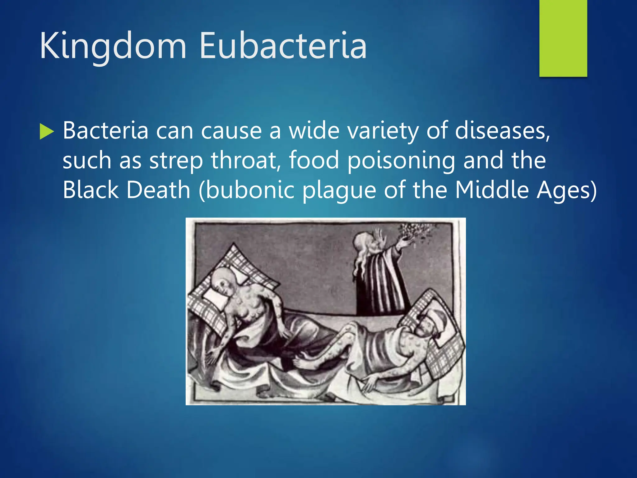 Kingdom Eubacteria
 Bacteria can cause a wide variety of diseases,
such as strep throat, food poisoning and the
Black Death (bubonic plague of the Middle Ages)
 