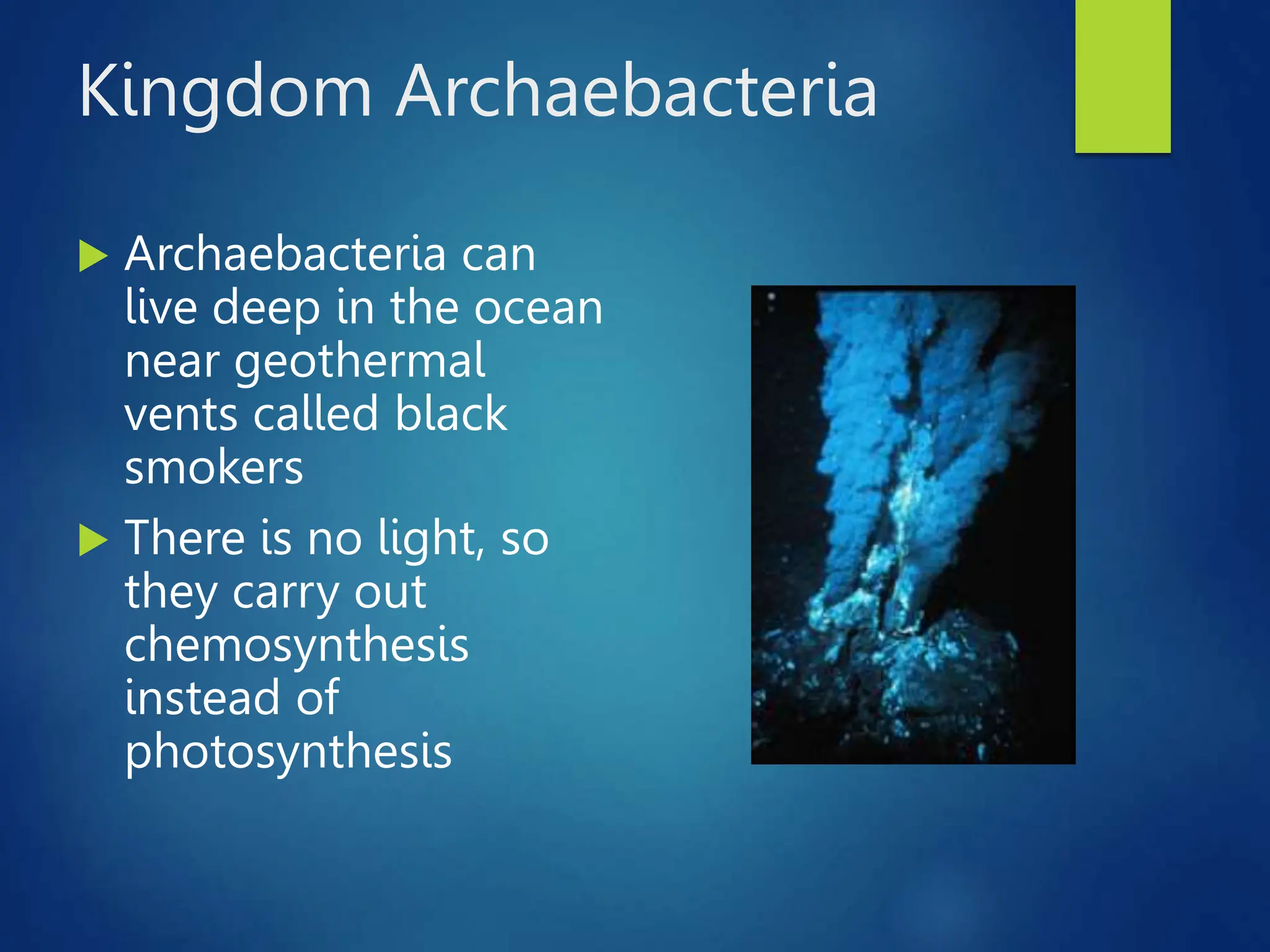 Kingdom Archaebacteria
 Archaebacteria can
live deep in the ocean
near geothermal
vents called black
smokers
 There is no light, so
they carry out
chemosynthesis
instead of
photosynthesis
 
