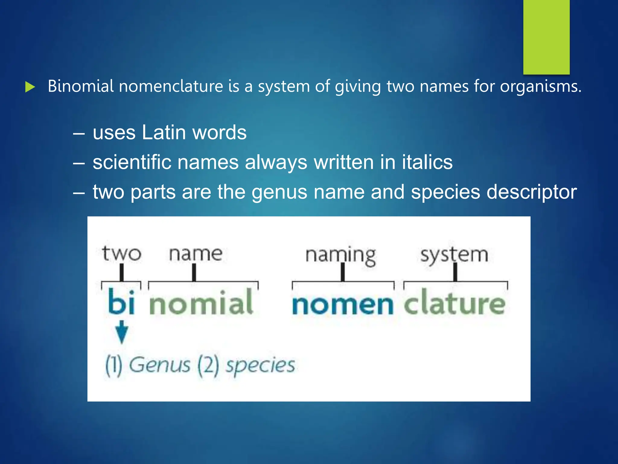  Binomial nomenclature is a system of giving two names for organisms.
– uses Latin words
– scientific names always written in italics
– two parts are the genus name and species descriptor
 