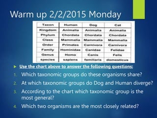 Warm up 2/2/2015 Monday
 Use the chart above to answer the following questions:
1. Which taxonomic groups do these organisms share?
2. At which taxonomic groups do Dog and Human diverge?
3. According to the chart which taxonomic group is the
most general?
4. Which two organisms are the most closely related?
 