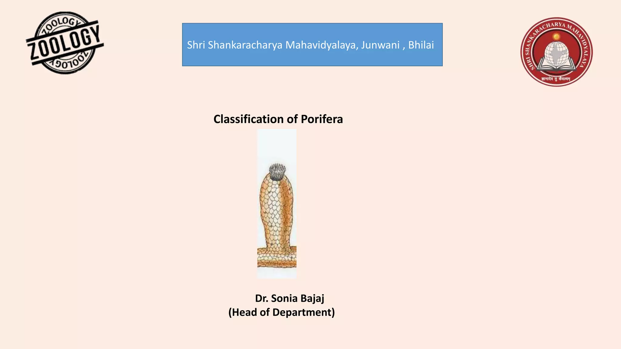 Classification of porifera