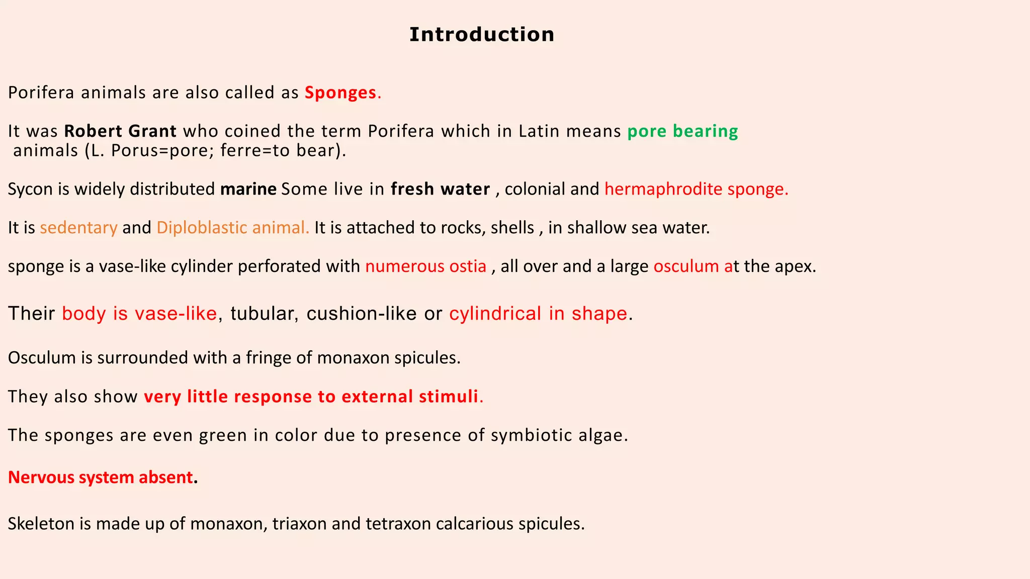 Classification of porifera
