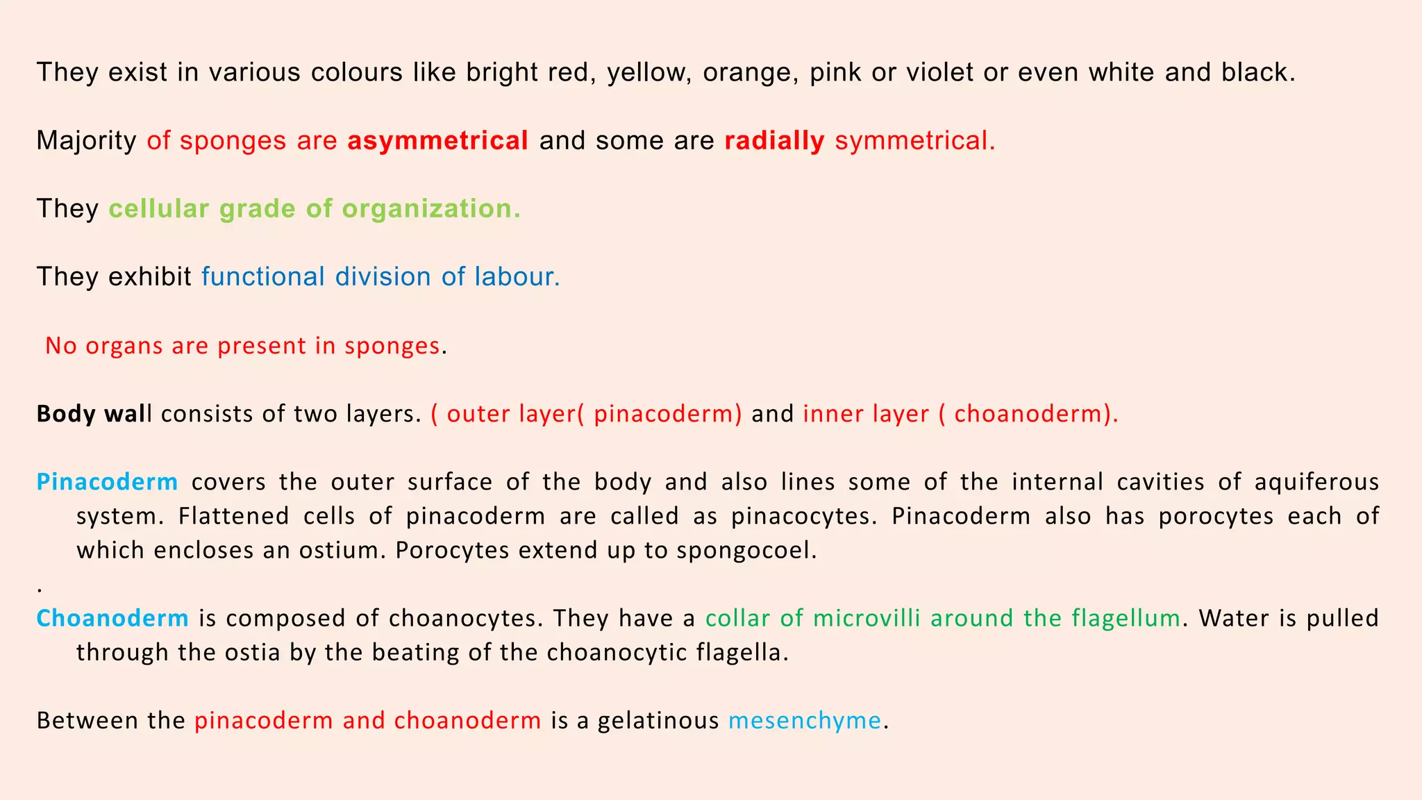 Classification of porifera